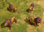 Many views of the Nemean Rex in Retold