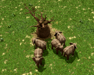 Elephant Guardians guarding the Baobab treasure