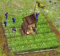 Rice paddy.jpg