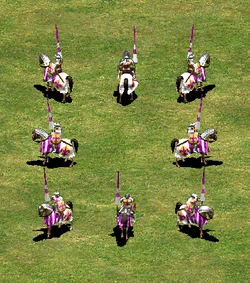 Reynald De Chatillon Age Of Empires Series Wiki Fandom