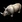 Rinoceronte AoE2DE