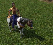 An in-game Elite Bow Rider in the Definitive Edition