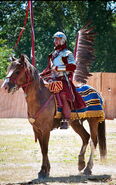 Winged hussar historical reconstruction