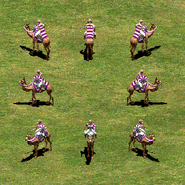 GrupoCamellos.png (325 kB) Un grupo de camellos