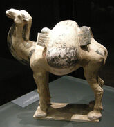 Camel-Sui-dynasty
