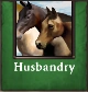 Husbandry