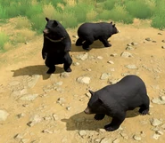 Some Black Bears in Age of Mythology: Retold