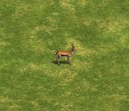 A Gazelle in the Definitive Edition