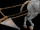 Arado (Age of Empires)