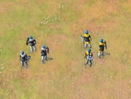 The Freeborn Warrior Line