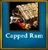 Capped Ram available Chronicles