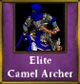 Elite Camel Archer