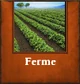 Ferme