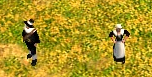 Pilgrim