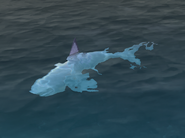 Shark seen in Retold