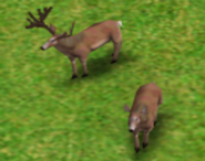 Two Deer in-game