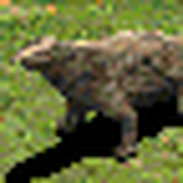 Capybara, Age of Empires Series Wiki