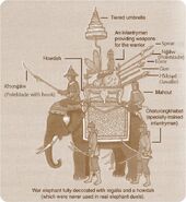 A Siamese War Elephant, the howdah is behind the armed rider