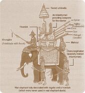 A diagram of a Siamese War Elephant