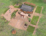 A Shinto Shrine (with a torii)
