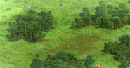Bogland terrain aoe2DE.png (2.98 MB) View of a Bogland map
