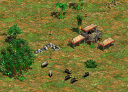 Player 2 starting position; notice the Water Buffalo