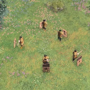 Elite Tanegashima Ashigaru with shield deployed.