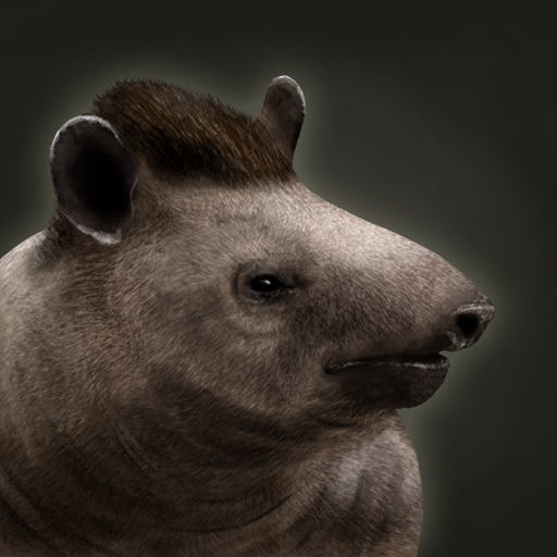 Tapir, Age of Empires Series Wiki