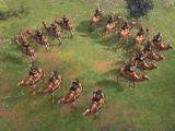 Desert Raider (Age of Empires IV)