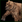 BrownBear icon