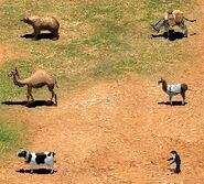 Gaia and herdable units (top to bottom, left to right), Bear, Camel, Cow, Donkey, Llama and Penguin.