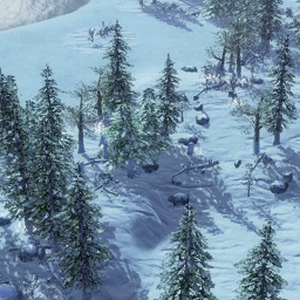 Random Map Age Of Empires Series Wiki Fandom