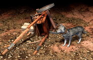 Coyote guarding a Treasure in the Definitive Edition