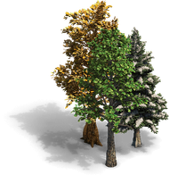 Trees aoe2de