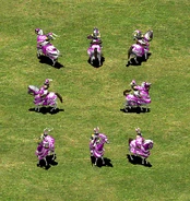 Un grupo de Paladines.