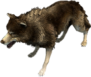 Close-up of the Wolf in Age of Empires II: Definitive Edition