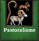 IconeTech Pastoralisme-Disponible