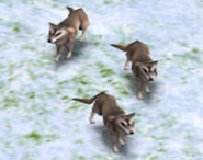 A pack of three Wolves in Age of Mythology