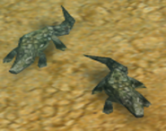 Crocodiles in-game