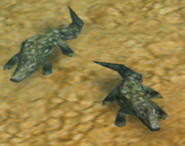 Crocodile | Age of Empires Series Wiki | Fandom