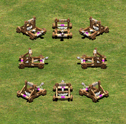 Un groupe de mangonneaux