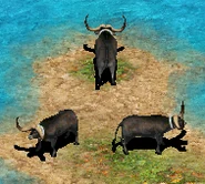AOE2WaterBuffalo.png (74 KB) Three Water Buffaloes