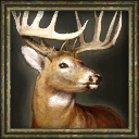 Deer portrait in the Age of Empires III beta