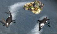 Orcas.png (403 KB) Orcas guarding a treasure in Age of Empires III: The Asian Dynasties