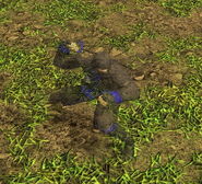 Ninja in the Stealth mode in the Definitive Edition