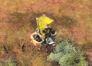 Land Treasure Caravan