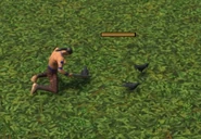 The Bird unit being harvested by a Native Villager