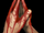 Fervor (Age of Empires)