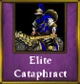 Elite Cataphract