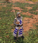In-game Hospitaller